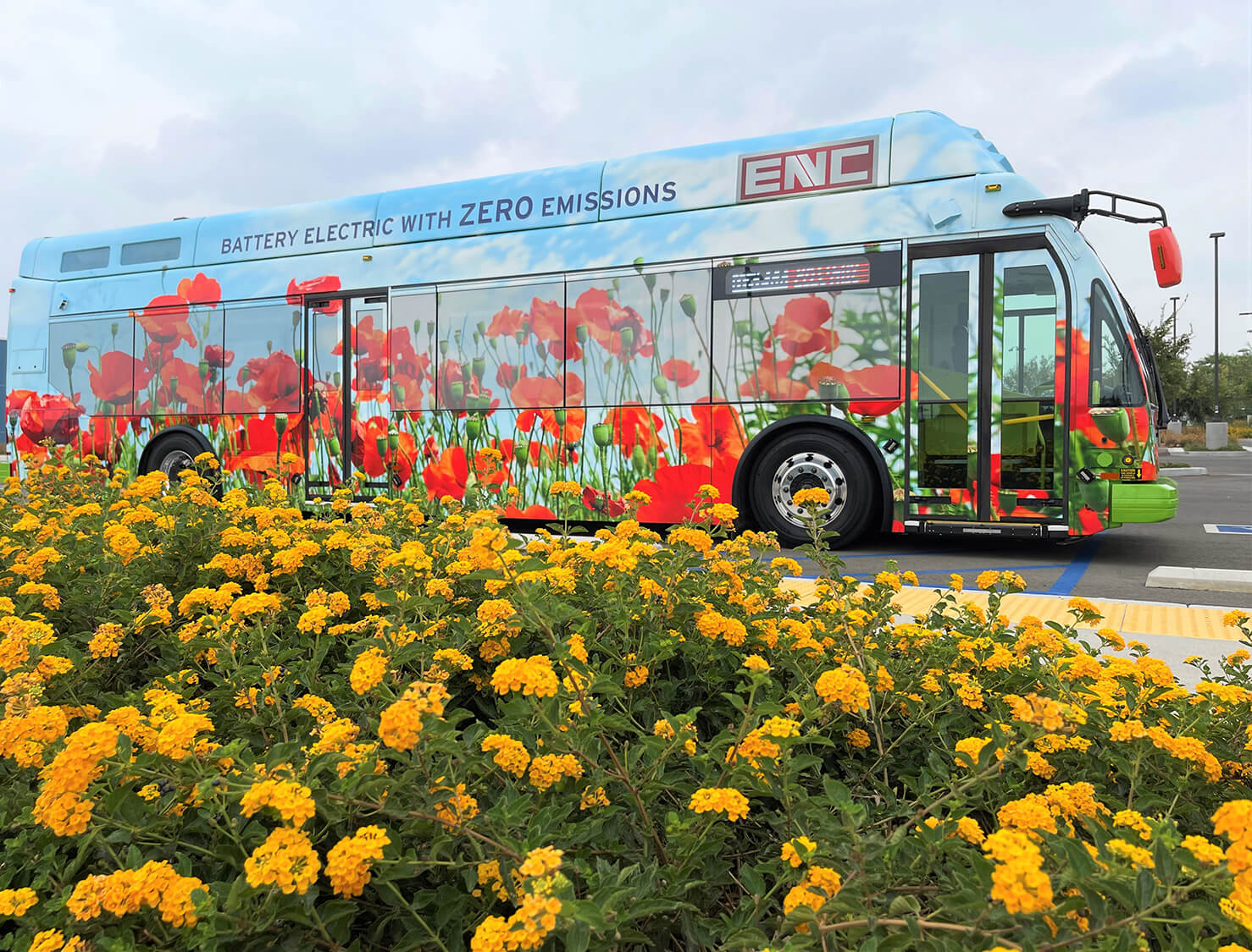 Image of ENC Axess Battery Electric Zero Emissions Bus at APTA Expo. It is on a street with flowers in front of it