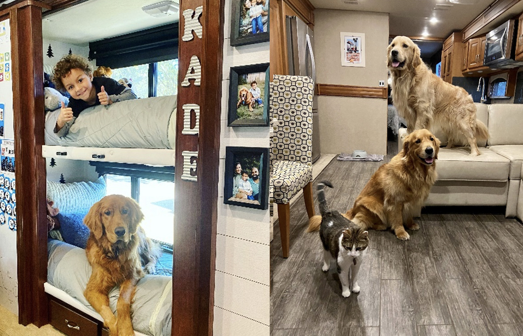 Image of 3 dogs, 1 cat and 1 little boy inside an RV